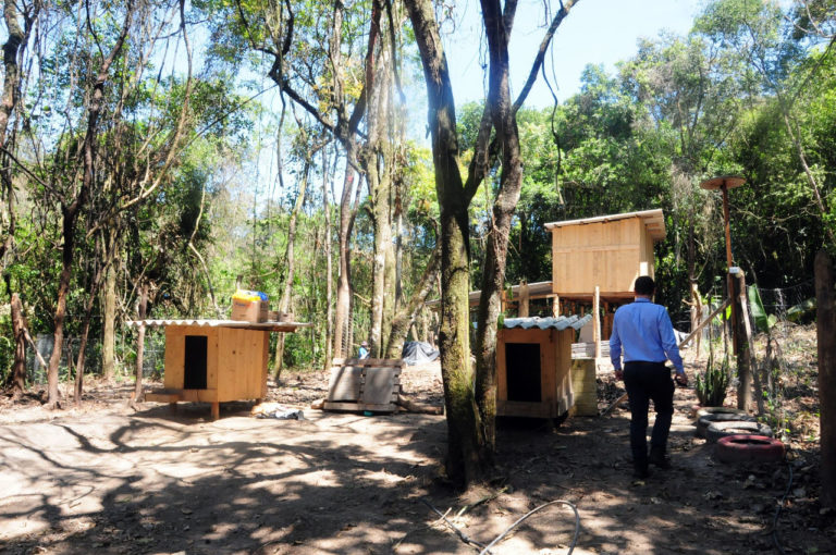 Prefeitura remove barracos em área de interesse ambiental no Bambi