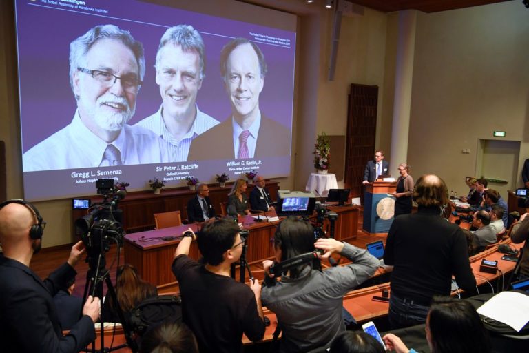 Nobel de Medicina sai para dois americanos e um inglês