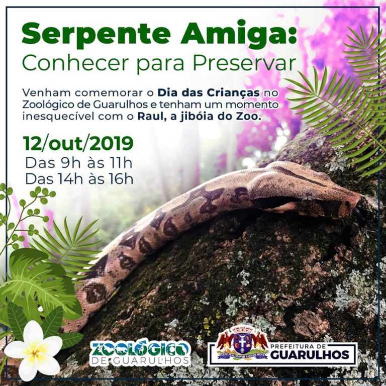 Jiboia Raul é atração no Dia das Crianças no Zoológico