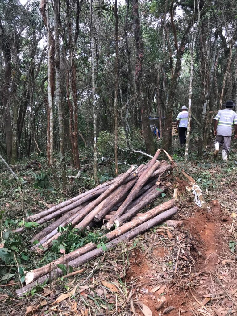 Prefeitura desfaz loteamento clandestino na região do Bambi