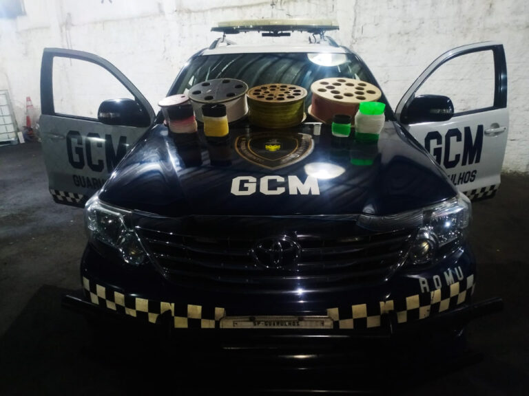 GCM prossegue com a operação para apreender cerol e linha chilena em Guarulhos