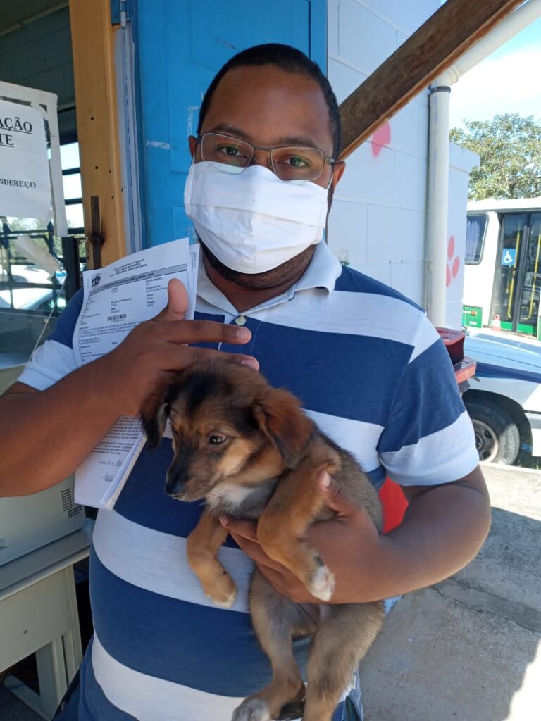 Proteção Animal utiliza o WhatsApp para facilitar a adoção de animais