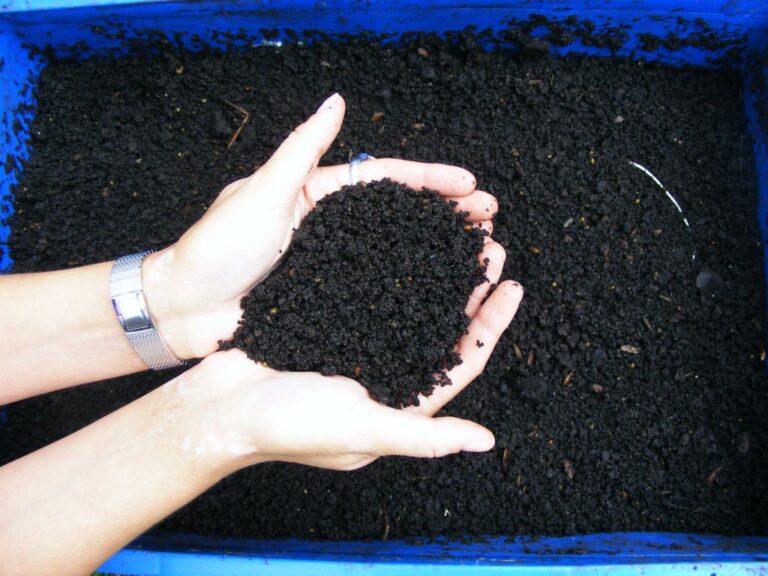 Oficina online ensina a montar minhocário para compostagem de resíduos orgânicos