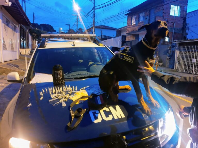 Cadela da GCM encontra droga em fundo falso de parede no Parque Marabá