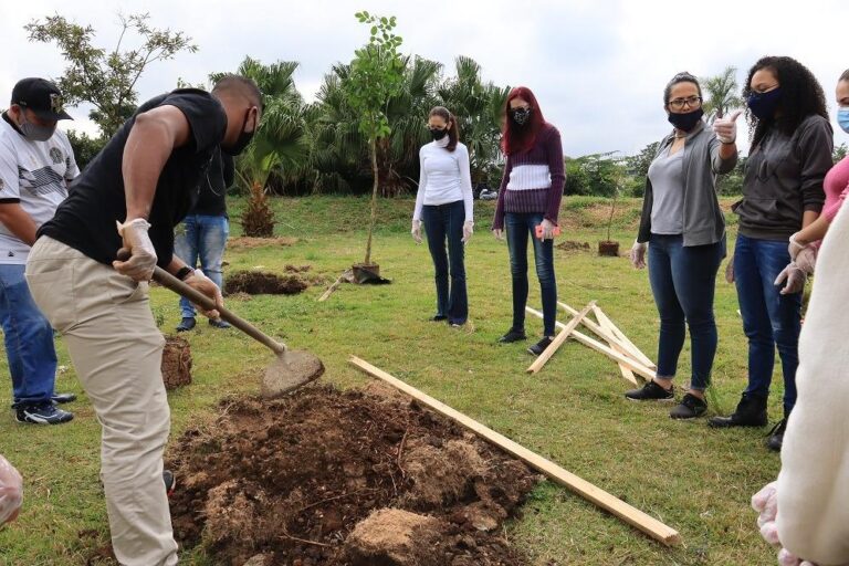 Parque Cecap ganha novas mudas de árvores nativas da Mata Atlântica