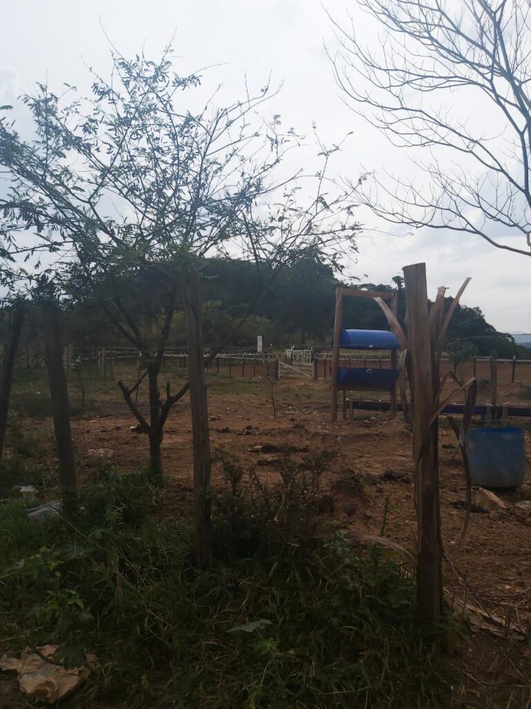 Ação da GCM impede vaquejada no Parque Continental II