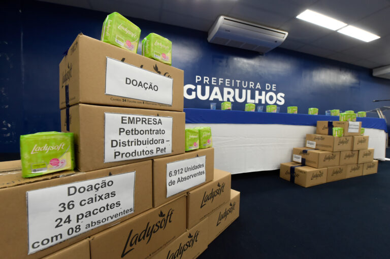 Projeto Mude esse Ciclo recebe grande doação de absorventes higiênicos