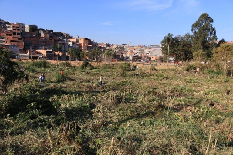 Prefeitura interrompe crimes ambientais em três regiões da cidade