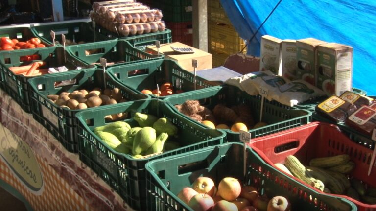 Guarulhos cria Sistema Municipal de Segurança Alimentar e Nutricional