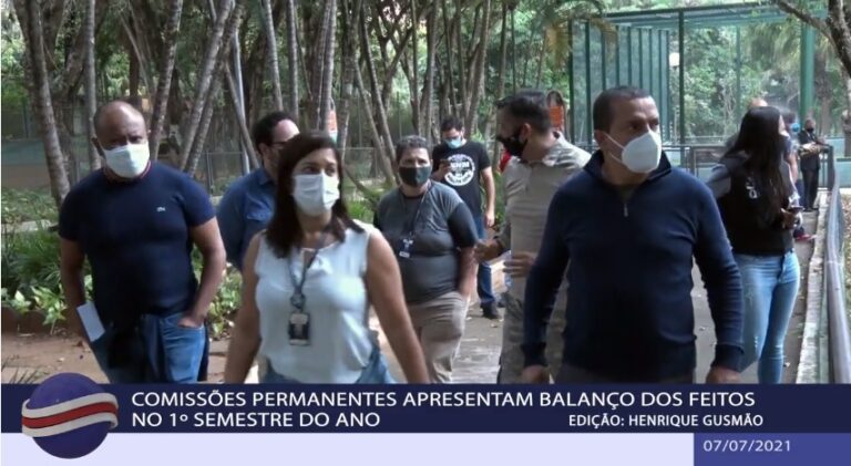 Comissões Permanentes realizaram reuniões virtuais no primeiro semestre