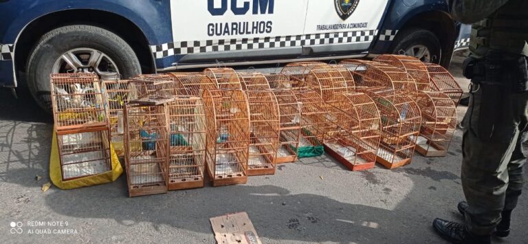 Operação Saturação aborda 123 pessoas no Jardim Fortaleza durante o feriado