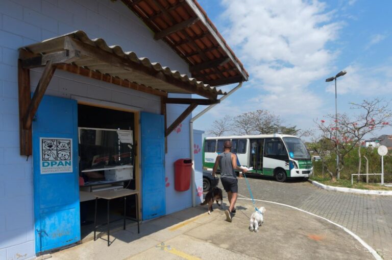 Prefeitura inicia ciclo de 400 cirurgias gratuitas de castração de cães e gatos