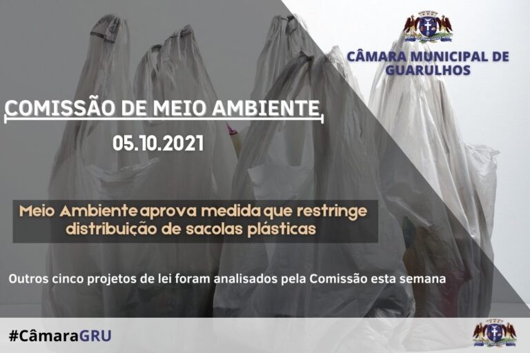 Meio Ambiente aprova medida que restringe distribuição de sacolas plásticas