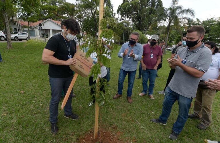 Parque Cecap e Bom Clima ganham 85 árvores nativas da Mata Atlântica