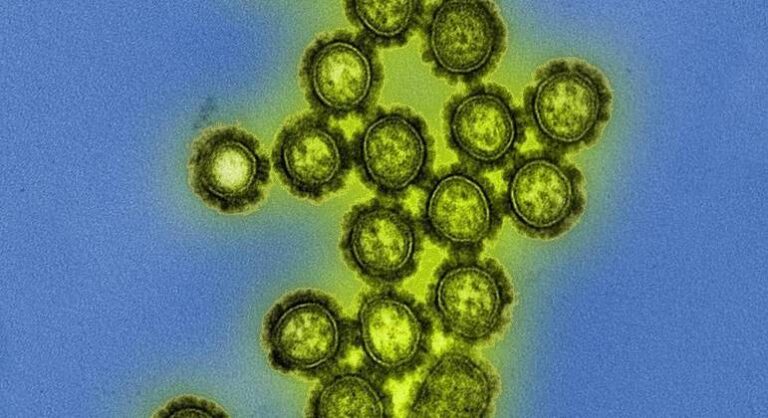 Saúde alerta para avanço de casos de síndrome gripal H3N2