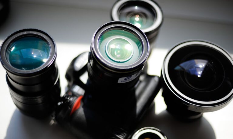 Hoje é Dia: datas da semana celebram leitores e fotógrafos