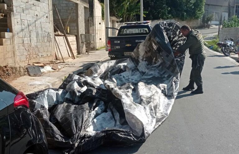 GCM apreende balão de 20 metros que caiu em residência no Parque Mikail II