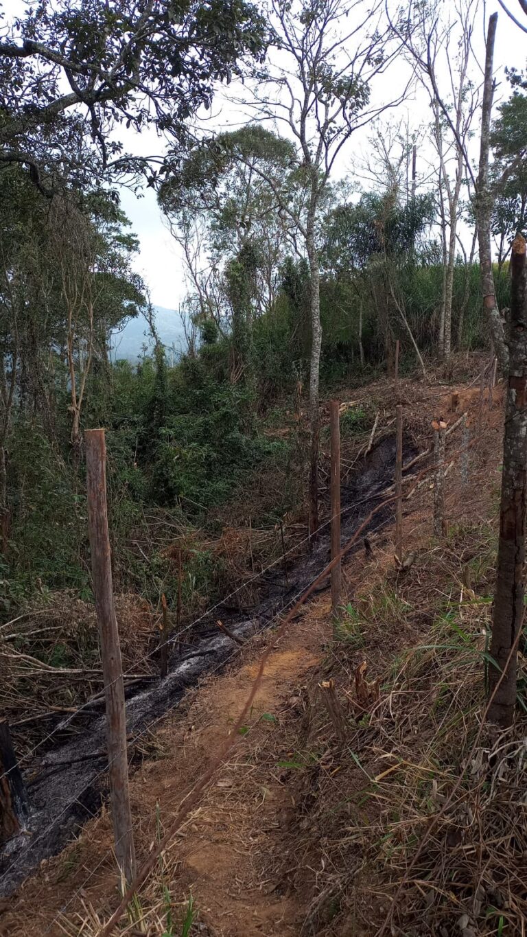 GCM Ambiental flagra desmatamento e queimada no Água Azul