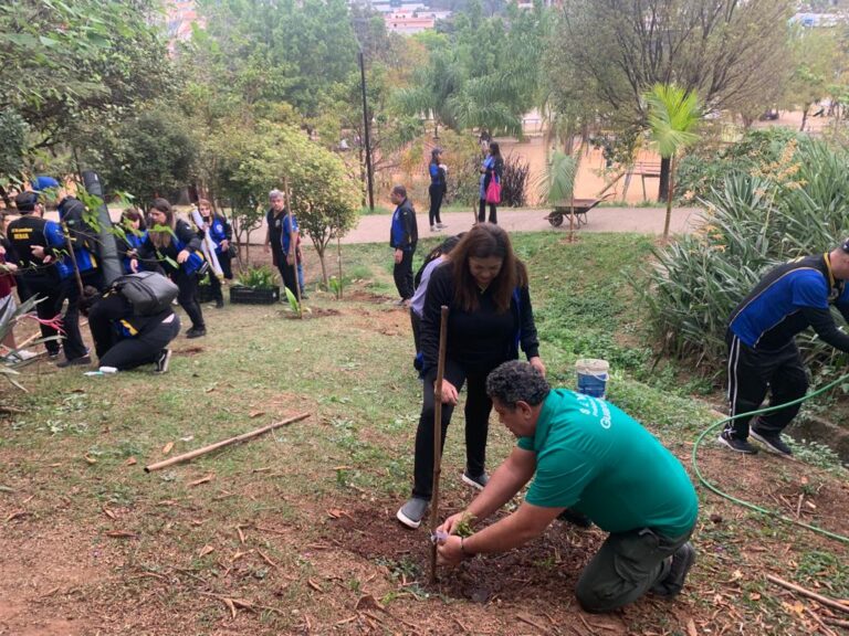 Ação voluntária planta árvores e limpa a nascente do Bosque Maia