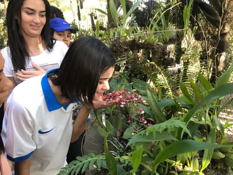 Alunos e professores participam da Trilha de Práticas Sustentáveis no Bosque Maia