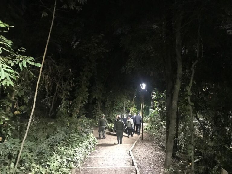 Trilha noturna encerra a programação ambiental de julho no Bosque Maia