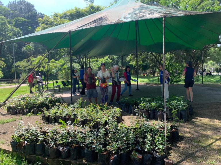 Horto Florestal de Guarulhos produz milhares de árvores nativas da Mata Atlântica para arborizar a cidade
