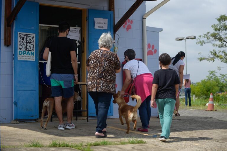 Prefeitura realiza mais de 9,5 mil castrações gratuitas de cães e gatos em 2022