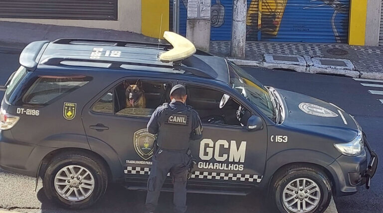 GCM prende homem por furto em residência na Vila Galvão