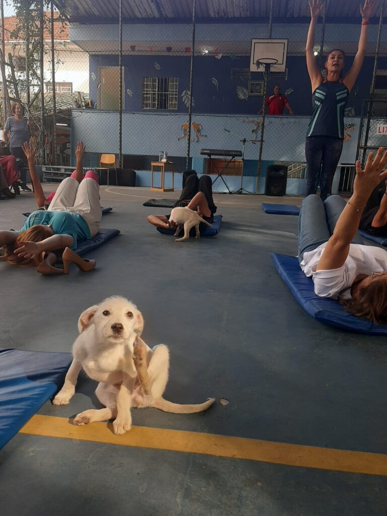 Aula de pilates com filhotes de cachorros movimenta o Centro de Convivência do Idoso Gopoúva