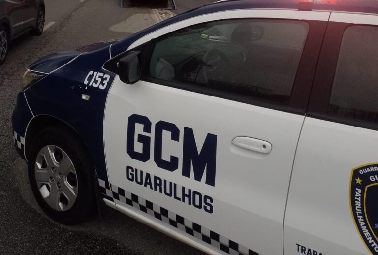 GCM prende homem por agredir pessoas e danificar comércios na Vila Rio de Janeiro