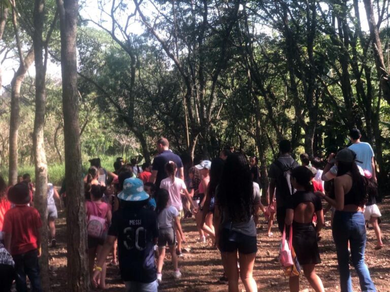 Crianças participam de atividades no Horto Florestal em comemoração ao Dia da Árvore