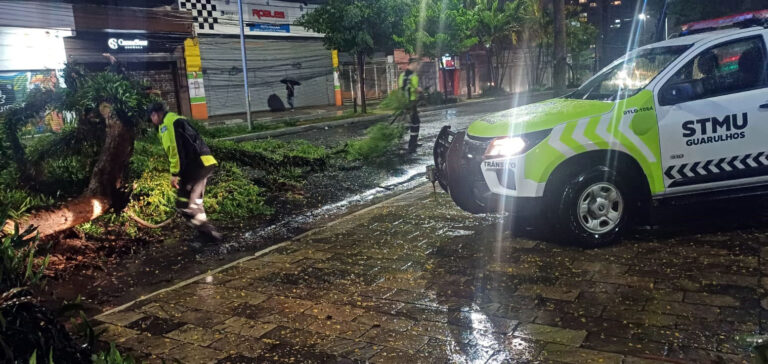 Prefeitura atua na desobstrução de vias por queda de árvores devido às fortes chuvas do fim de semana