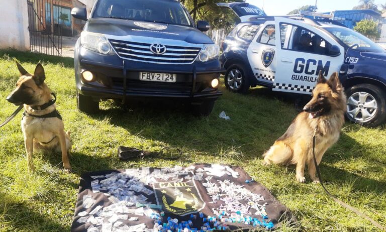 Cães policiais farejam mais de 1 kg de drogas em Guarulhos