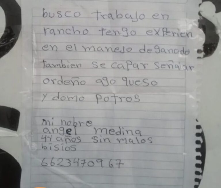 Homem escreve o próprio currículo à mão, cola nos postes da cidade e recebe 30 ofertas de emprego