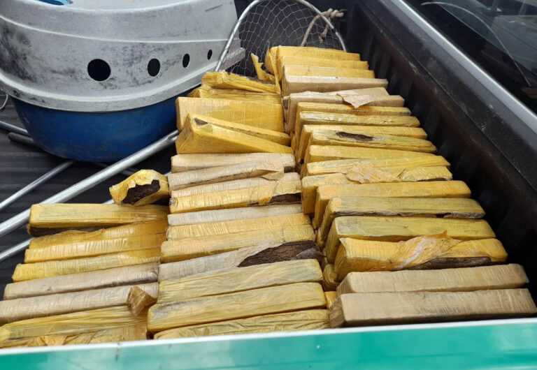 GCM apreende quase 100 kg de maconha no Parque Mikail II