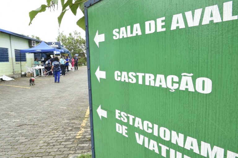 Prefeitura ainda dispõe de 198 vagas para castração gratuita de gatos