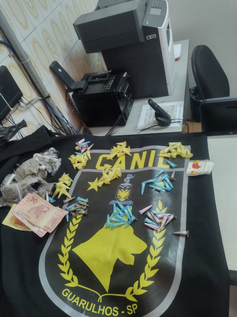 GCM apreende adolescente por ato infracional análogo ao tráfico de entorpecentes