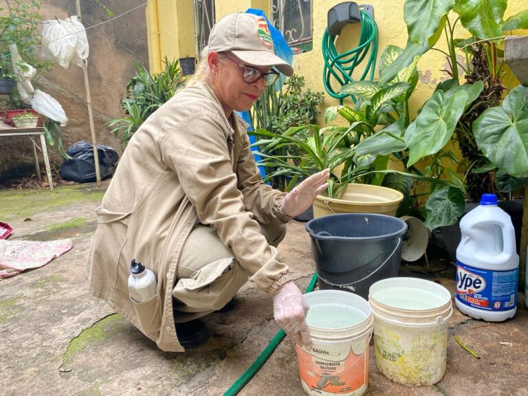 Prefeitura de Guarulhos promove ações permanentes de combate ao mosquito transmissor da dengue