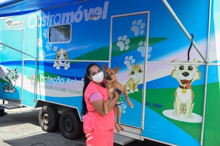 Castramóvel inicia cirurgias gratuitas de esterilização de cães e gatos em dois bairros