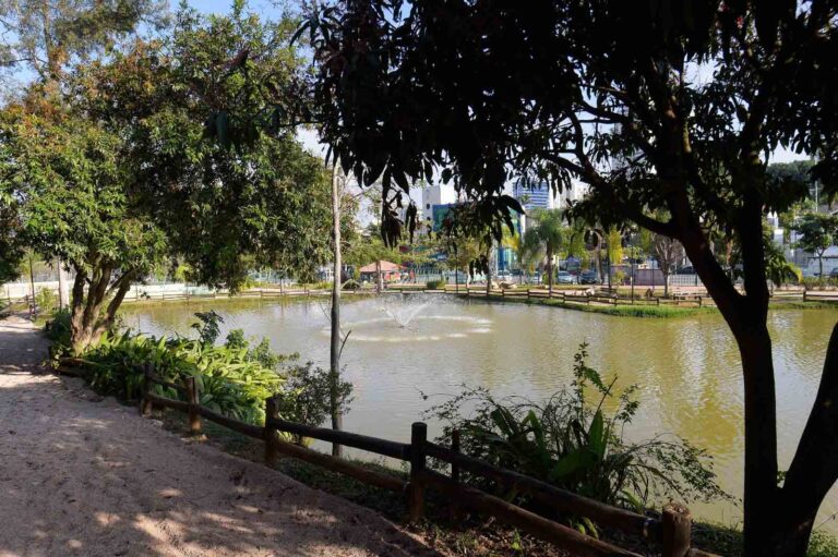 Prefeitura recebe inscrições para vagas de estágio remunerado na Secretaria de Meio Ambiente