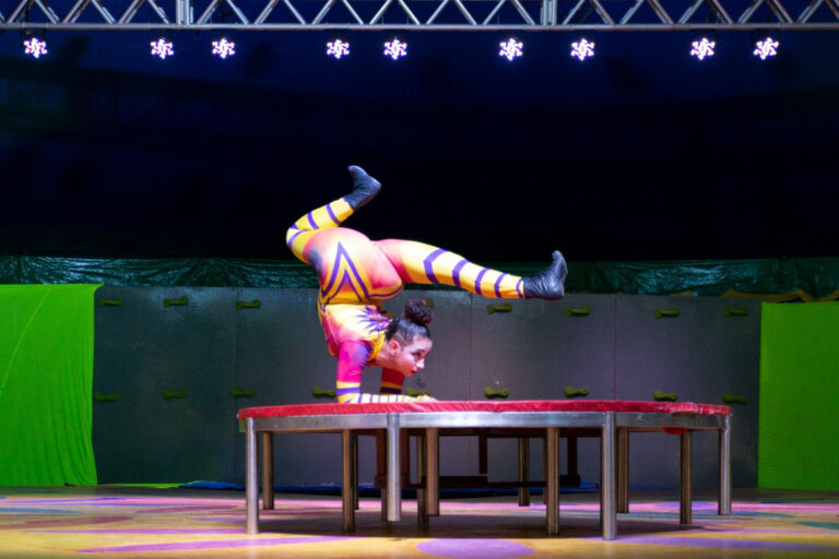 Festival de Circo de Guarulhos começa na próxima semana com monociclo e contorcionismo