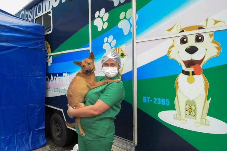 Prefeitura abre inscrições para mil vagas de castração gratuita de cães e gatos