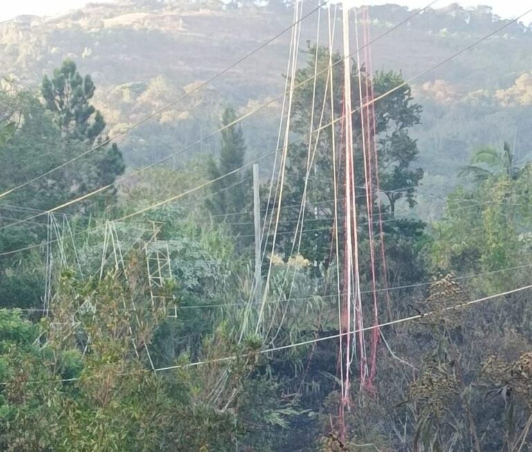 EDP alerta para acidentes com balões na rede elétrica