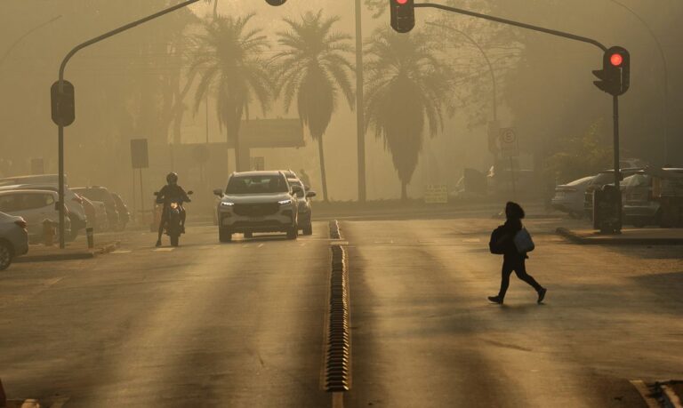 Ato em SP conclama para medidas de mitigação da emergência climática