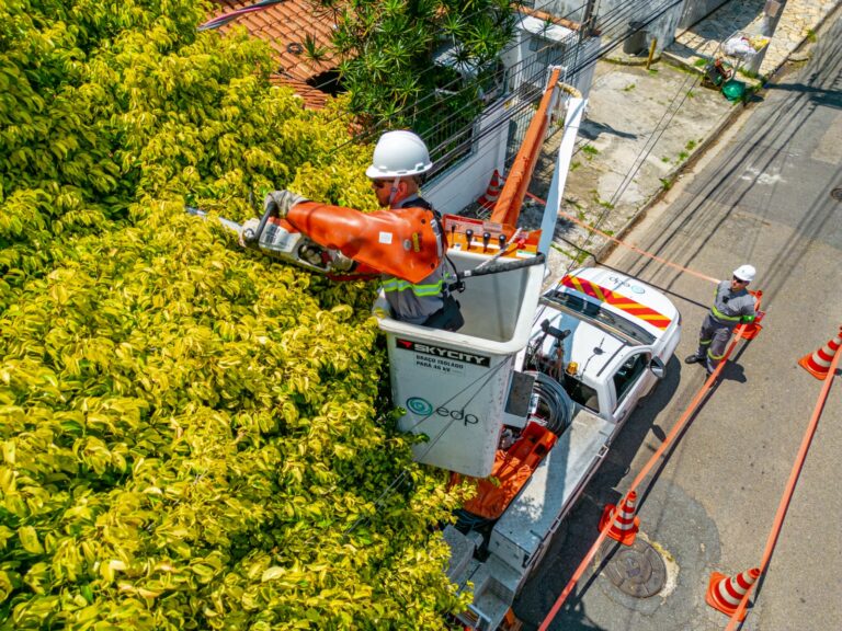 EDP realiza mais de 18 mil podas preventivas de galhos de árvores que estavam em contato com as redes elétricas de Guarulhos
