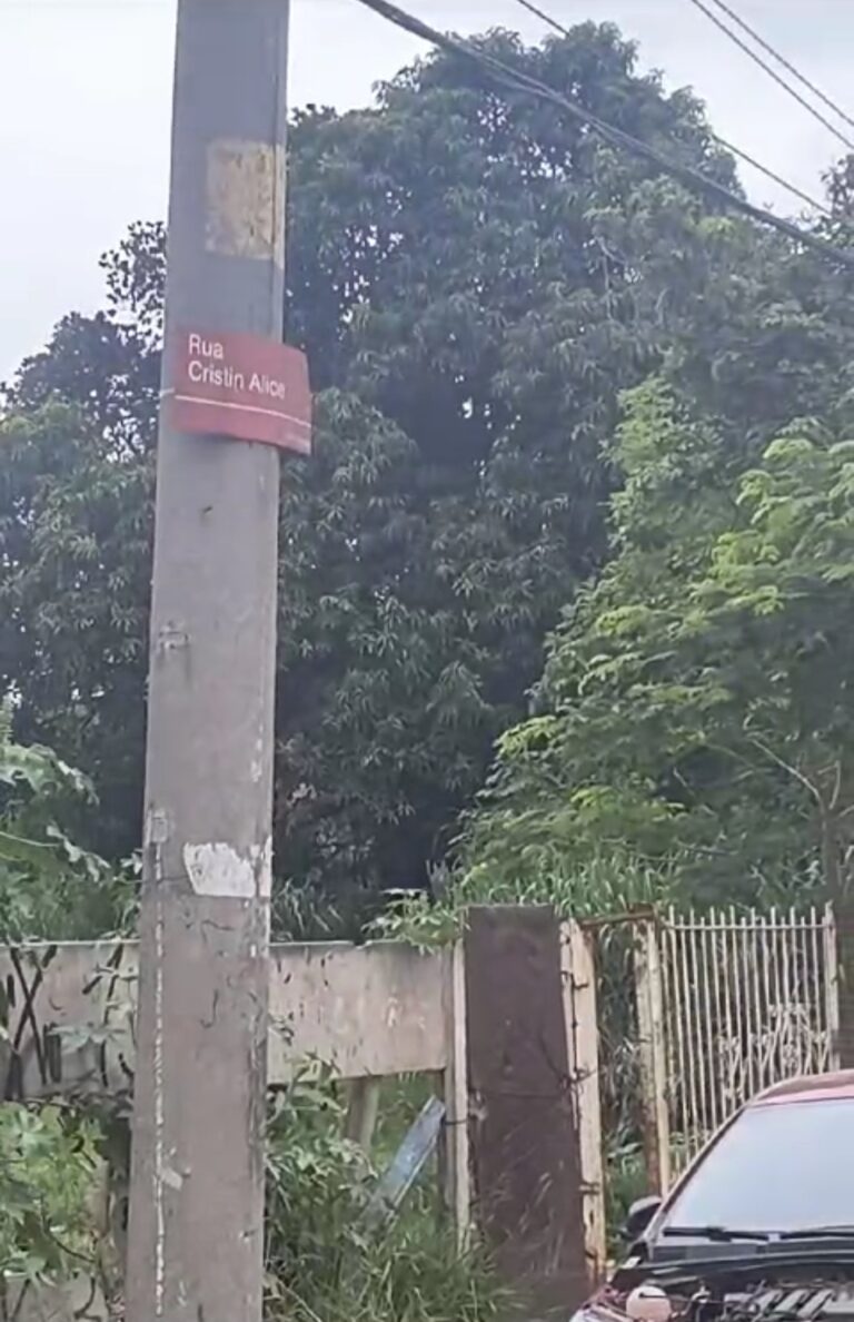 Terreno abandonado, no Jardim Alice causa transtorno aos moradores.