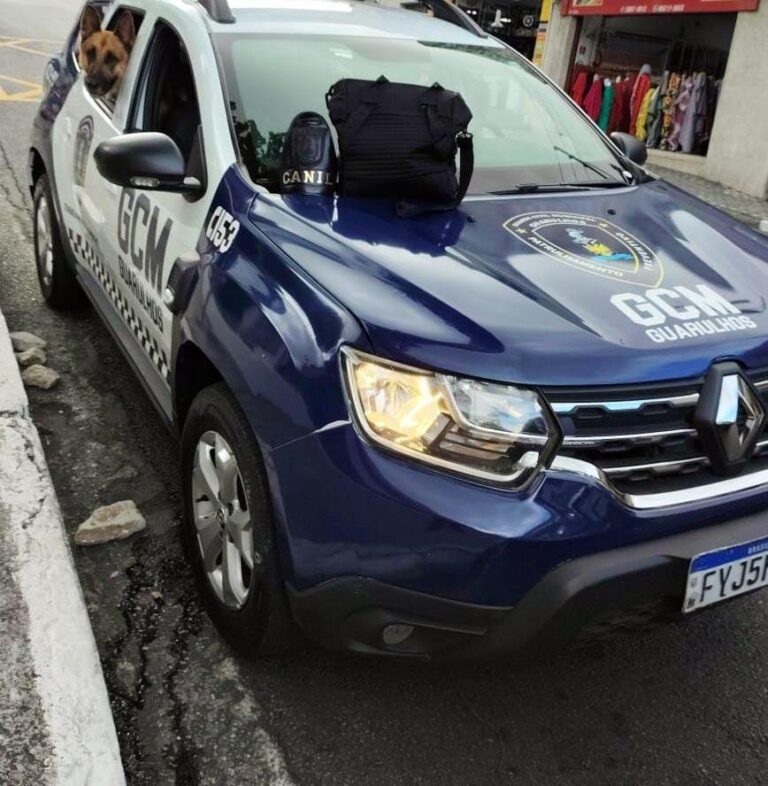 GCM prende duas pessoas por furto de fios e cabos em avenida no Jardim Bela Vista