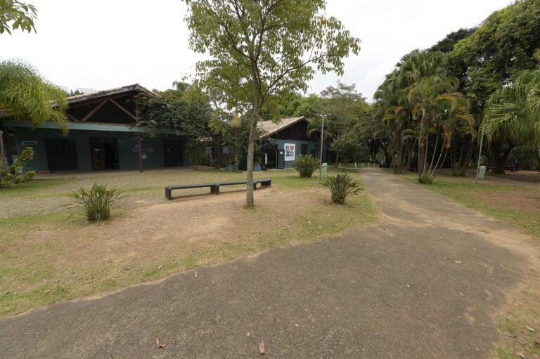 Zoológico e Museu Catavento promovem atividade Caminho das Abelhas nesta quarta-feira