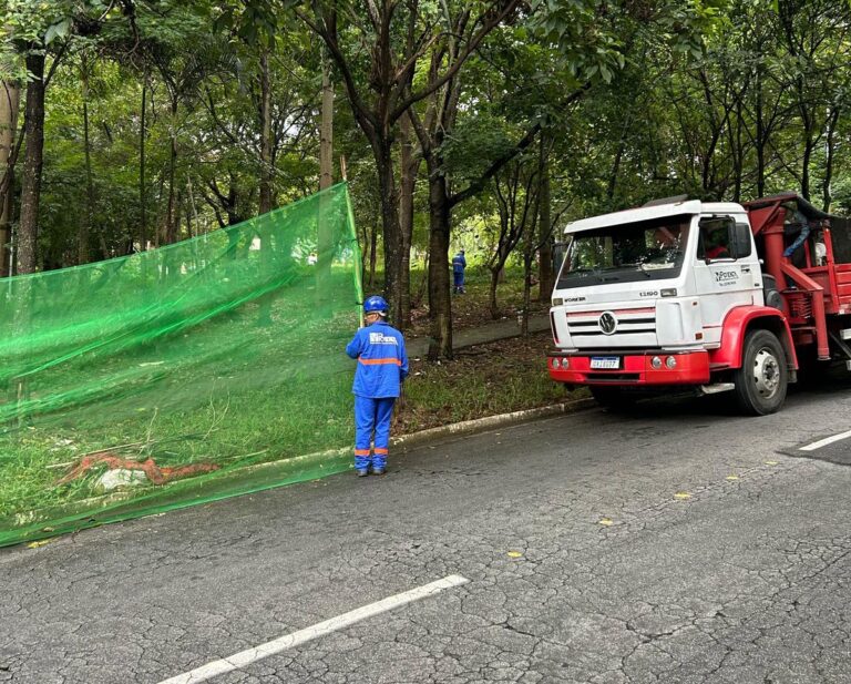 Prefeitura realiza mutirão de zeladoria em avenida do Parque Continental