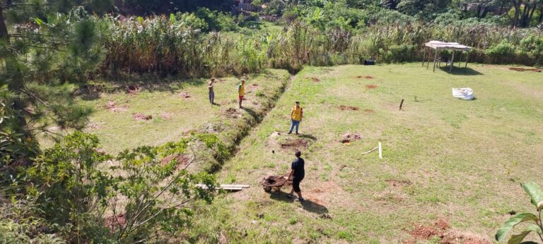Meio Ambiente realiza plantio de 300 árvores em área degradada em Cumbica
